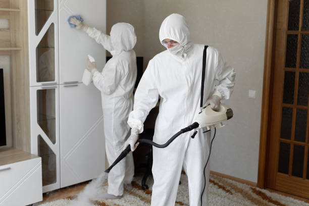 Best Professional Mold Removal  in Winooski, VT