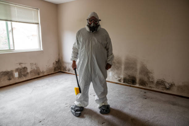 Best Local Mold Removal Service  in Winooski, VT