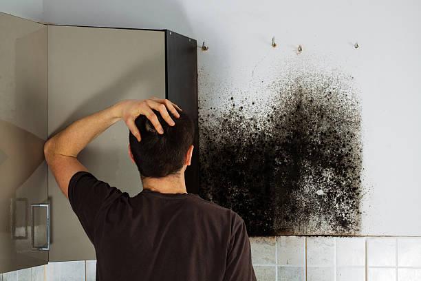 Best Office Mold Removal Services  in Winooski, VT